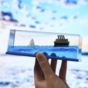 Resine boats
